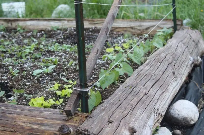 DIY Raised Garden Bed Using Split Wood