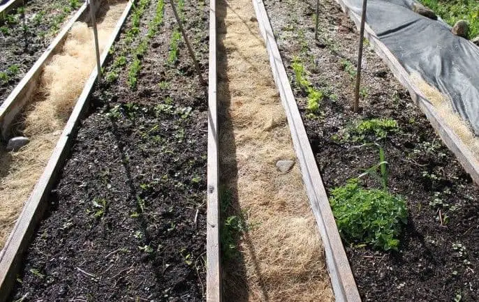 Raised Garden Bed Ideas: Split Wood