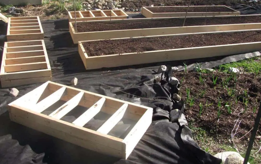 Raised Vegetable Garden Beds & Ideas