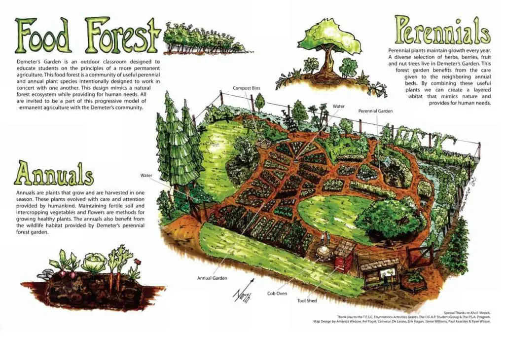 permaculture garden planner