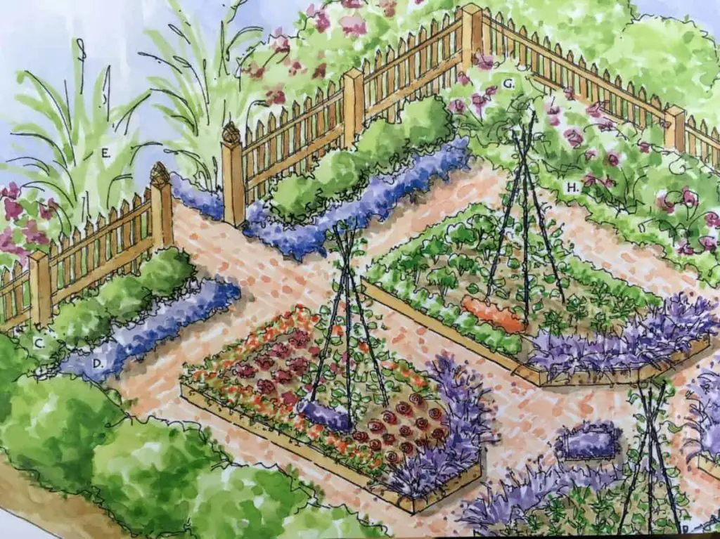 Potager Garden Design Plans - Image to u