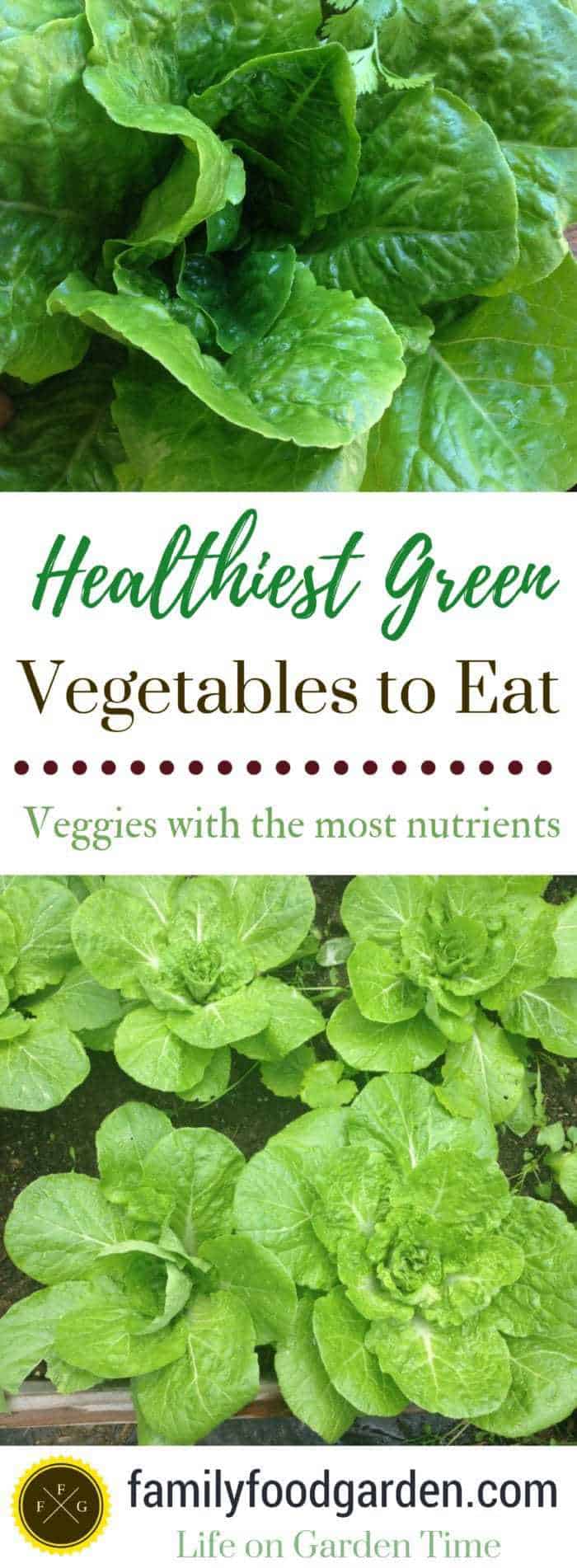 Healthiest Green Vegetables + Dark Leafy Greens | Family Food Garden