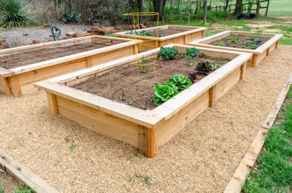 Building Raised Garden Beds & Soil Mix | Family Food Garden